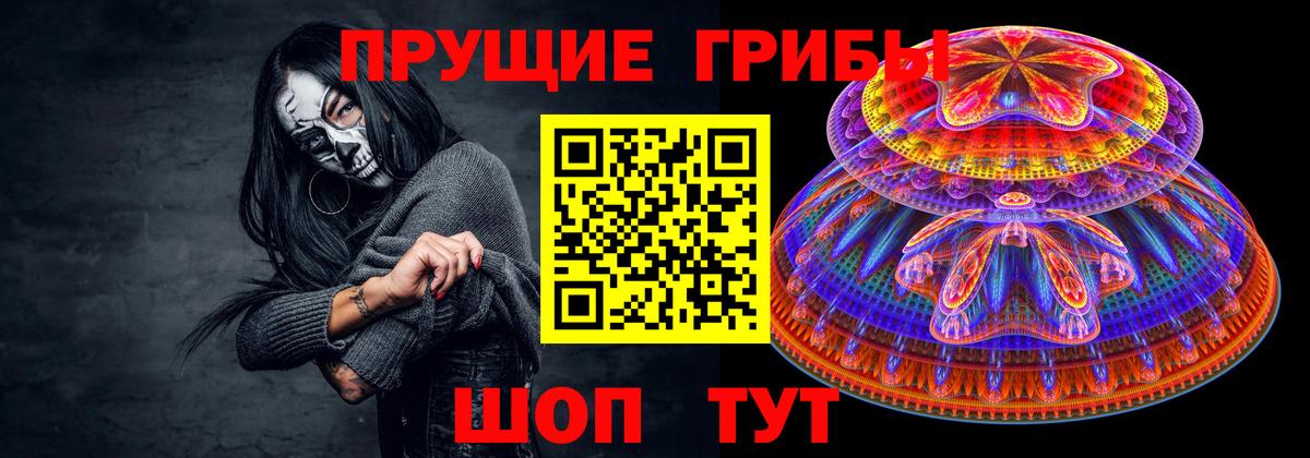 Галлюциногенные грибы Psilocybe Калуга